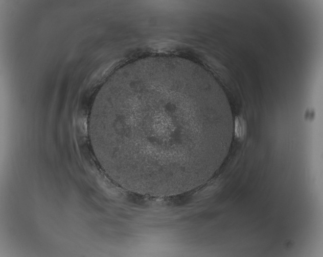 X0000112511155200908241413