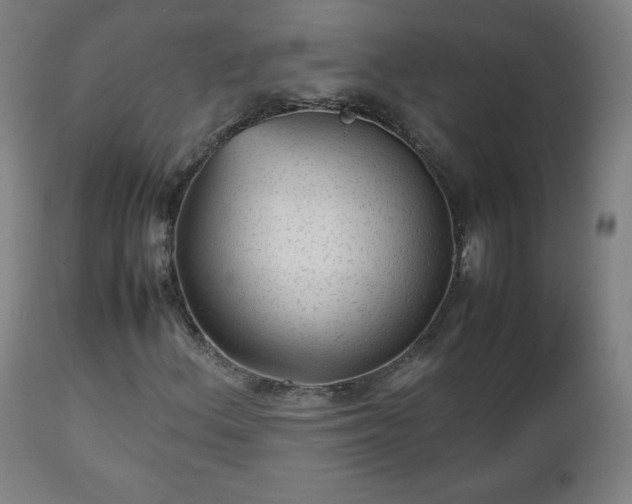 X0000112511156200908241413