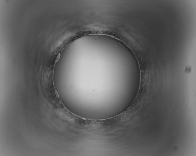 X0000112511157200908241413