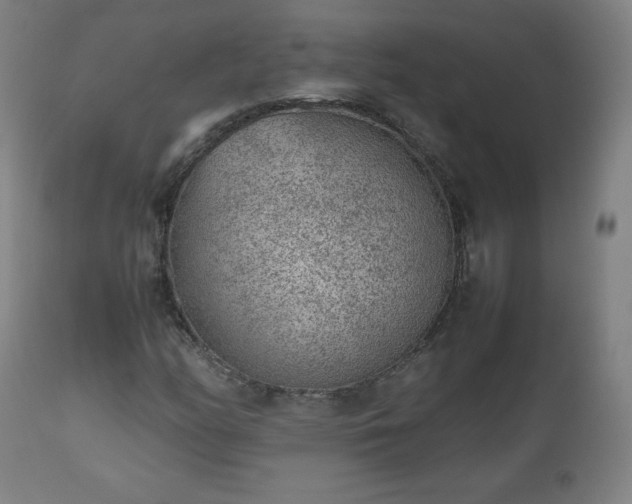 X0000112511158200908241413