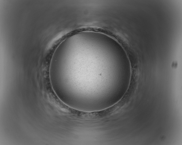 X0000112511159200908241413