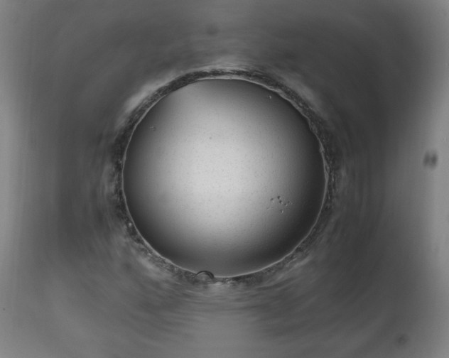 X0000112511160200908241413