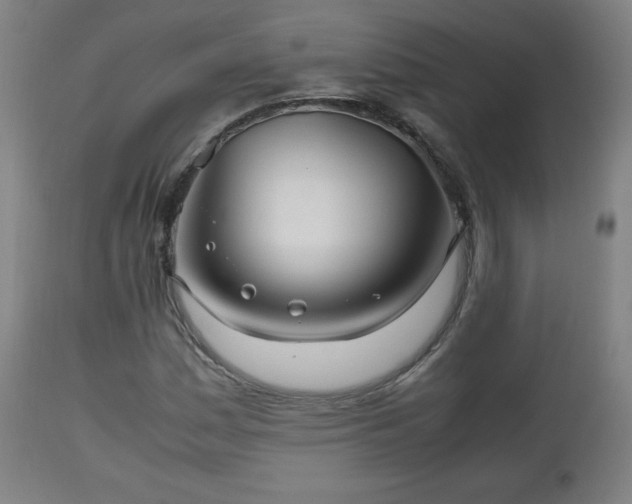 X0000112511161200908241413