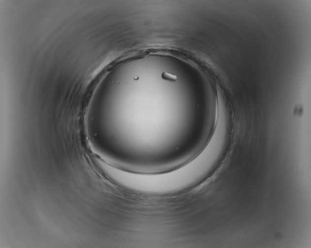 X0000112511162200908241413