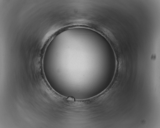 X0000112511164200908241412