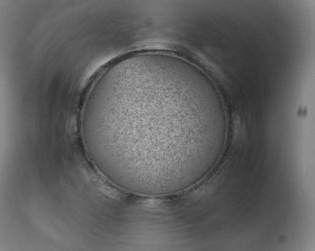 X0000112511166200908241412