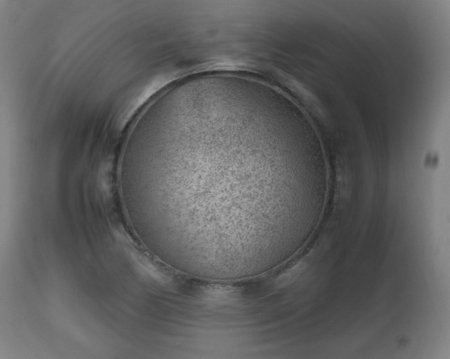 X0000112511170200908241412