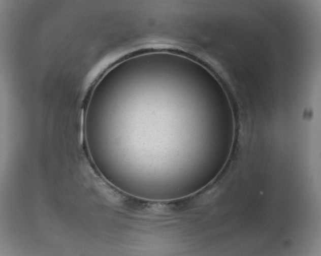 X0000112511175200908241412