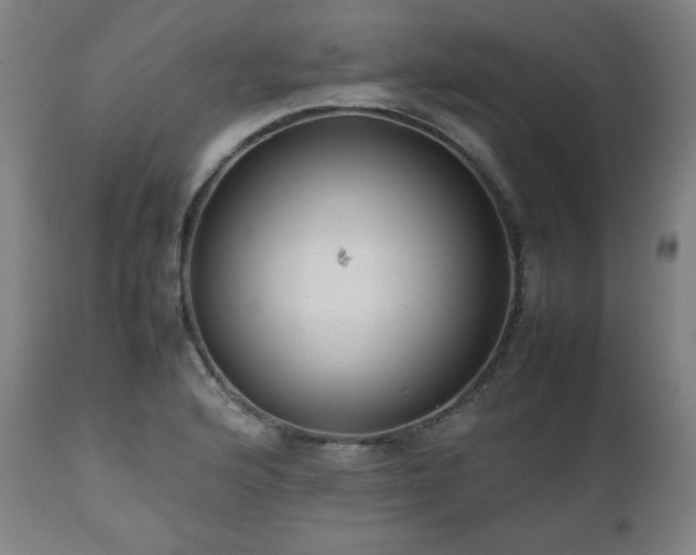 X0000112511176200908241412