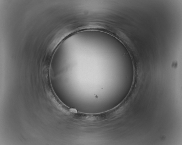 X0000112511177200908241412