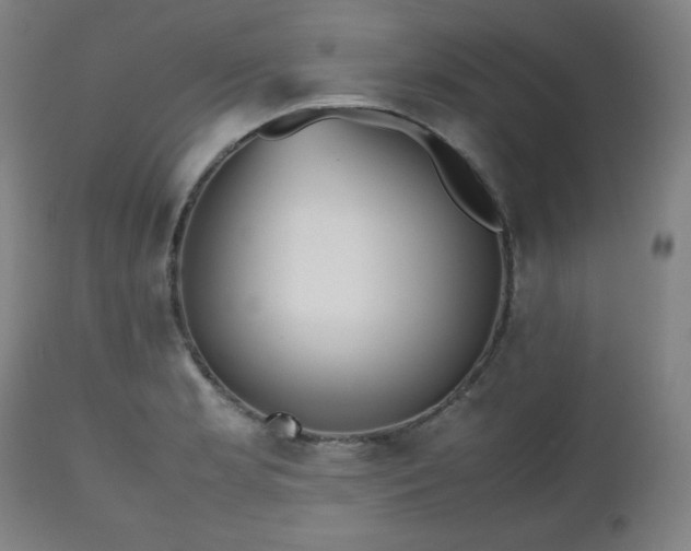 X0000112511181200908241412