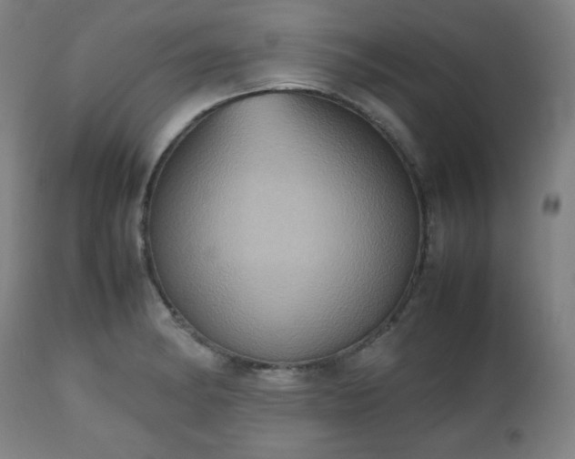 X0000112511182200908241412