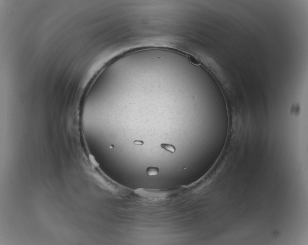 X0000112511184200908241412