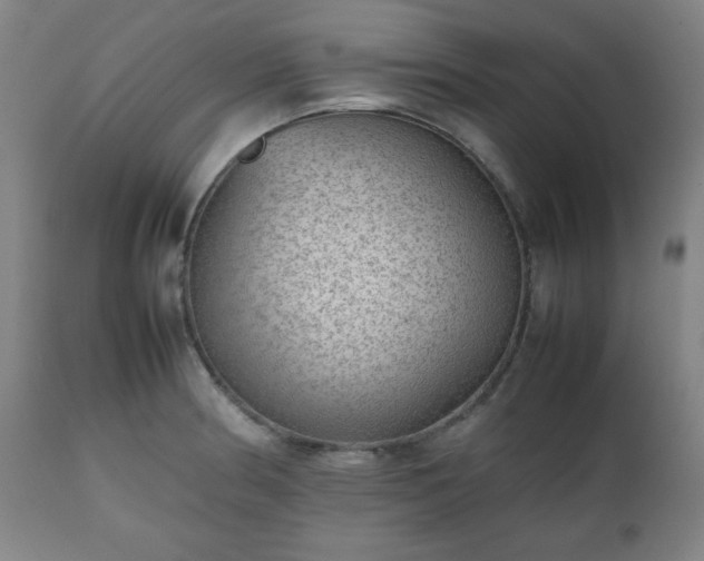 X0000112511186200908241412