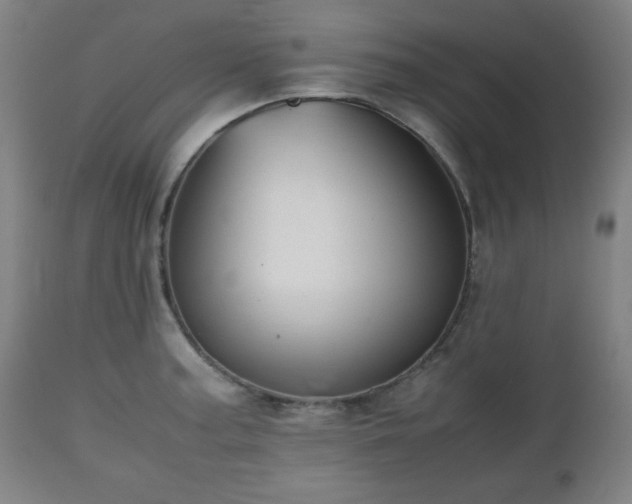 X0000112511187200908241412