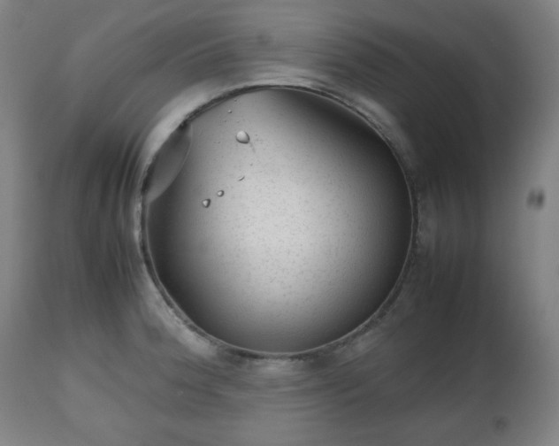 X0000112511188200908241412