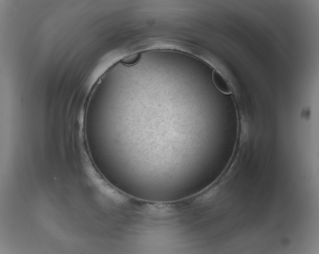 X0000112511198200908241412