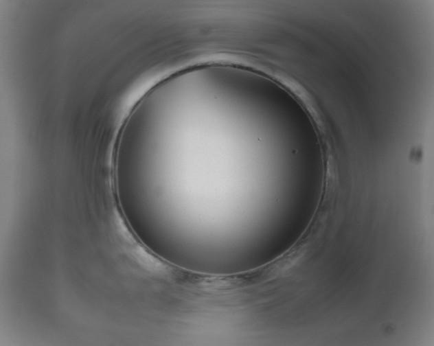 X0000112511199200908241412