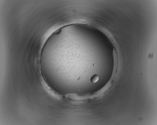 X0000112511200200908241412