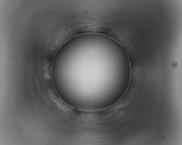 X0000112511202200908241411