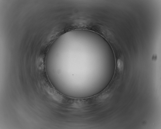 X0000112511203200908241411