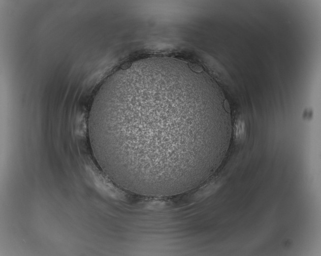 X0000112511204200908241411