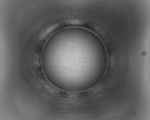 X0000112511205200908241411