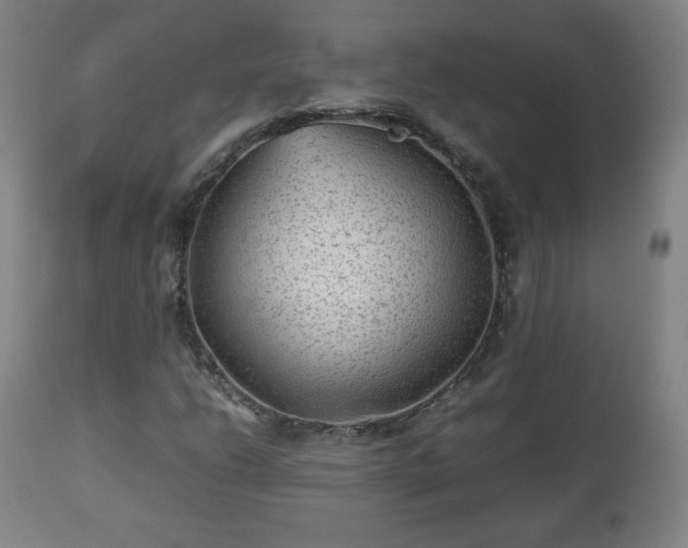 X0000112511206200908241411