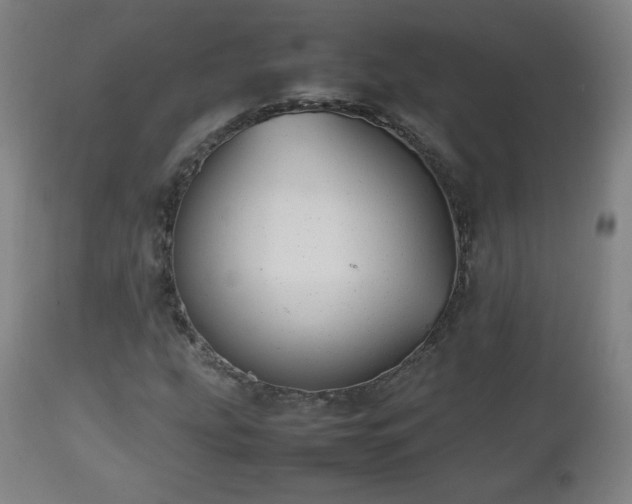 X0000112511207200908241411