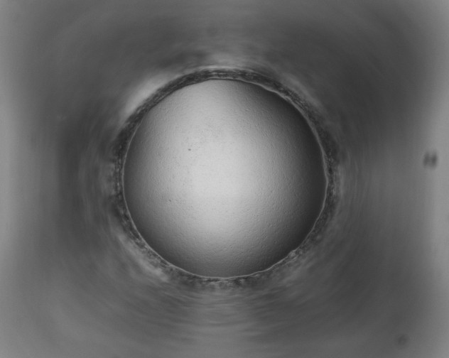 X0000112511208200908241411