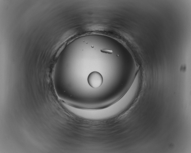 X0000112511209200908241411