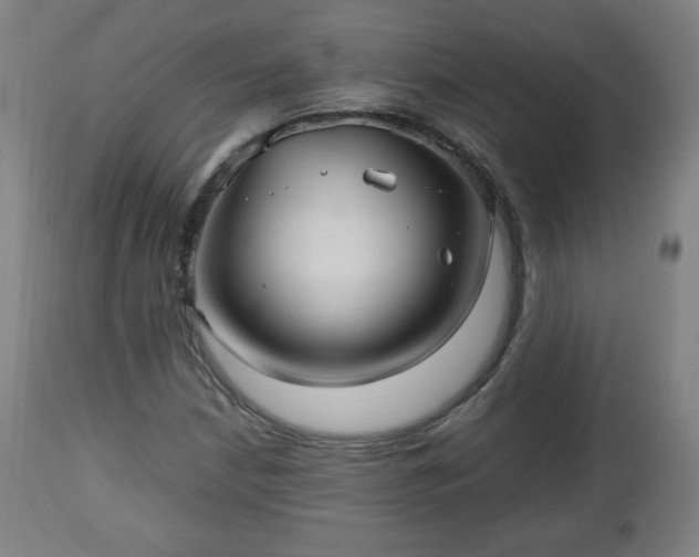 X0000112511210200908241411