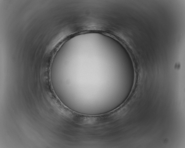 X0000112511211200908241411