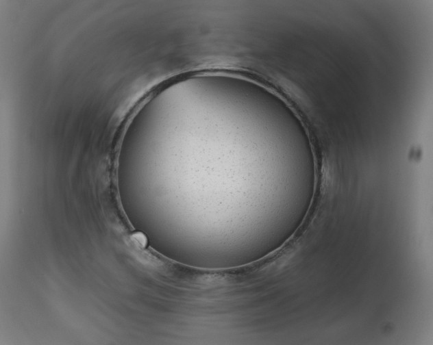 X0000112511212200908241411