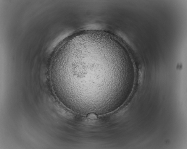 X0000112511213200908241411