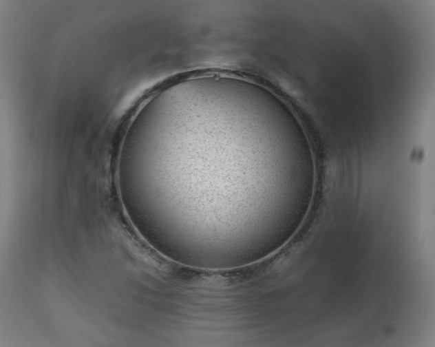 X0000112511214200908241411