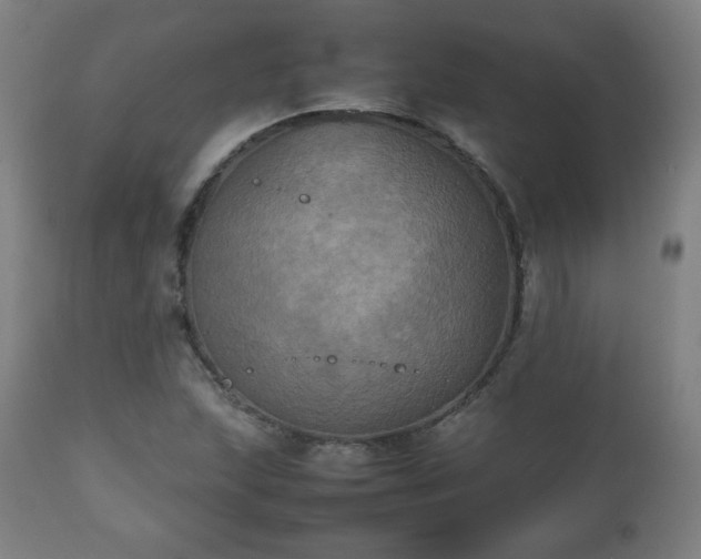 X0000112511215200908241411