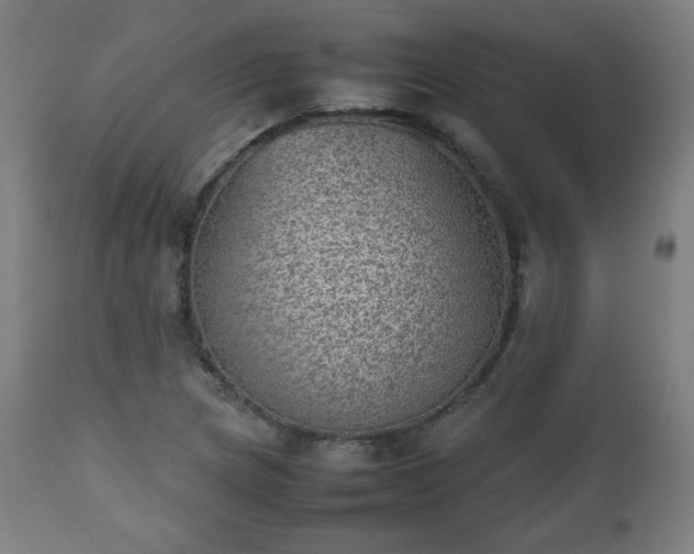 X0000112511217200908241411