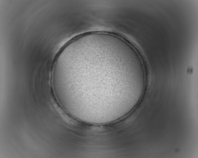 X0000112511220200908241411