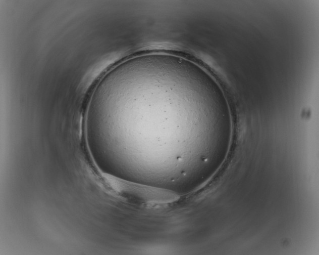 X0000112511221200908241411