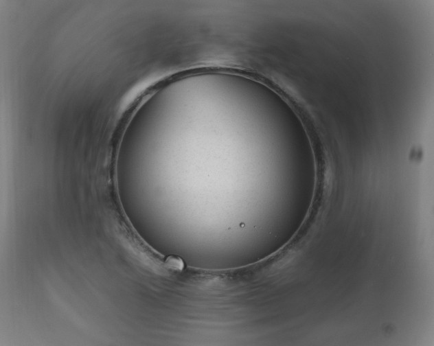 X0000112511222200908241411