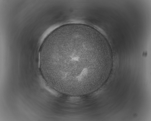 X0000112511223200908241411