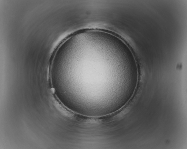 X0000112511224200908241411