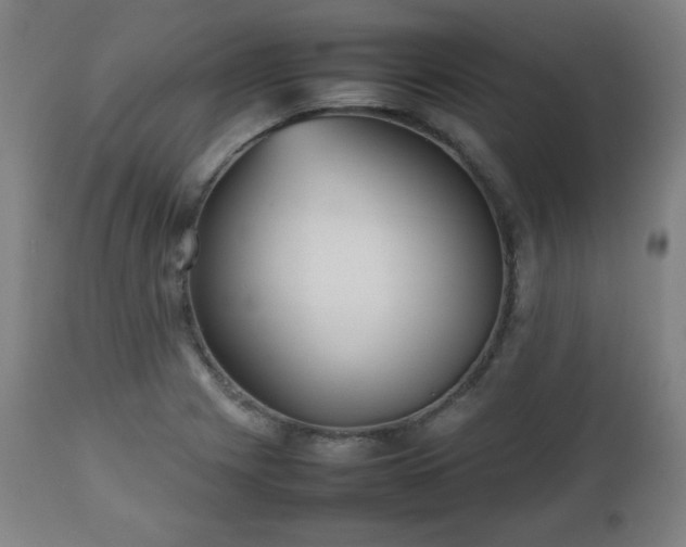 X0000112511225200908241411