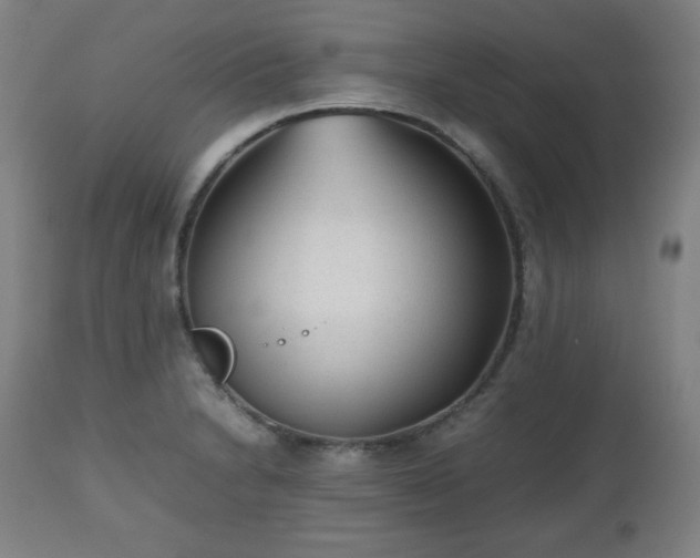 X0000112511230200908241412