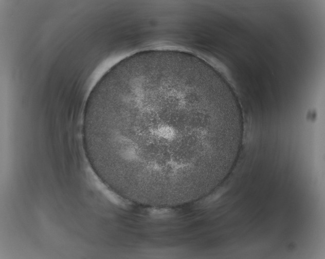 X0000112511231200908241412