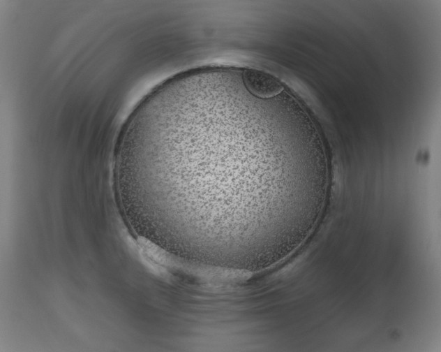 X0000112511232200908241412