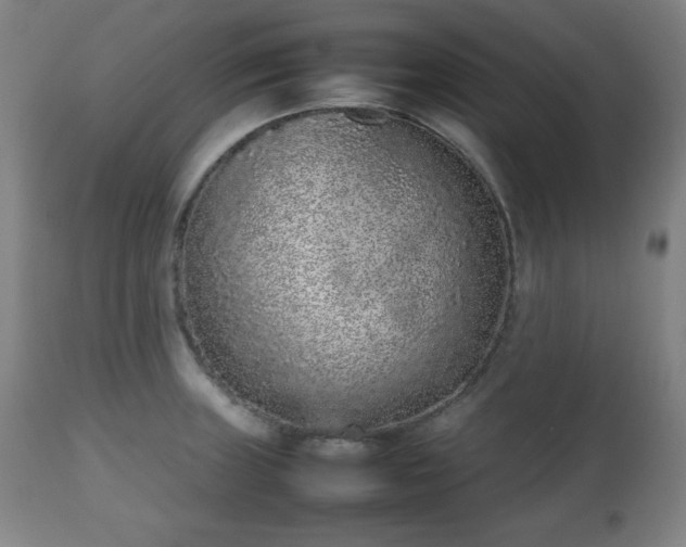 X0000112511235200908241412