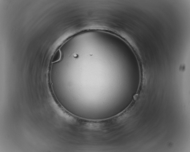 X0000112511237200908241412