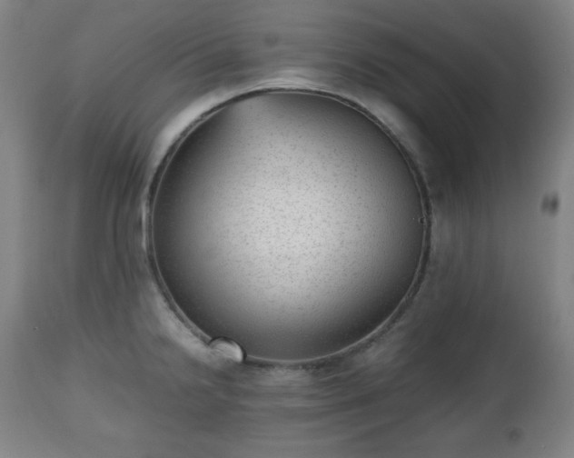 X0000112511238200908241412